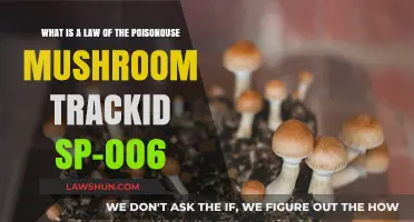 Understanding the Law of Poisonous Mushroom TrackID SP-006