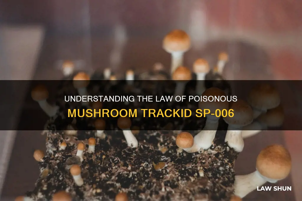 what is a law of the poisonouse mushroom trackid sp-006