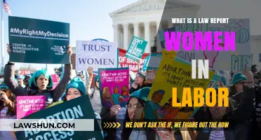 Understanding Law Reports: Women in Labor Rights and Protections
