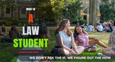 Understanding the Life, Skills, and Journey of a Law Student