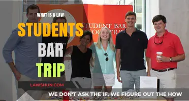 Exploring the Legal World: A Law Student's Bar Trip Essentials