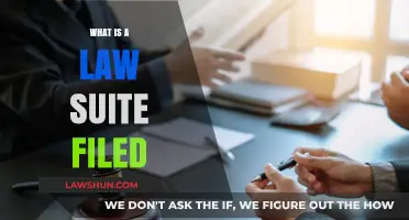 Understanding Lawsuits: What It Means to File a Legal Claim