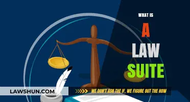 Understanding Lawsuits: A Comprehensive Guide to Legal Claims and Processes
