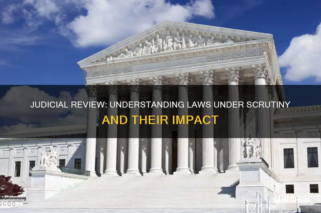 what is a law that has been under judicial review