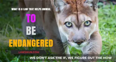 Protecting Endangered Species: Understanding the Legal Framework for Animal Conservation