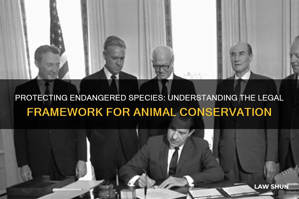 what is a law that helps animal to be endangered