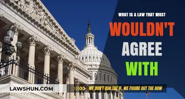 Unpopular Legal Realities: Laws That Divide Public Opinion