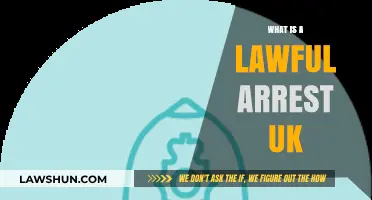 Understanding Lawful Arrests: Your Rights in the UK