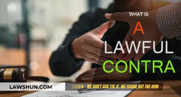 Understanding Lawful Contracts: What You Need to Know