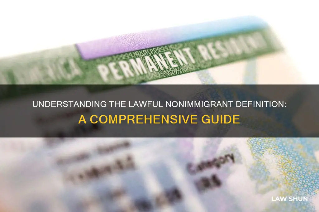 what is a lawful nonimmigrant definition