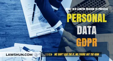 Understanding GDPR: Lawful Reasons to Process Personal Data Explained
