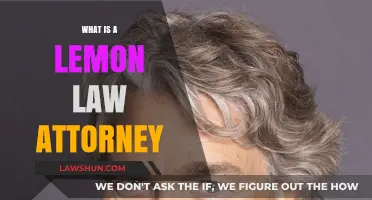 Understanding Lemon Law Attorneys: Protecting Your Rights in Defective Vehicle Cases