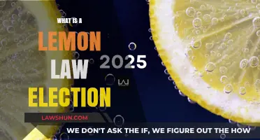 Understanding Lemon Law Elections: Your Rights and Vehicle Protection Explained
