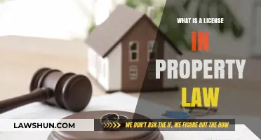 Property Law: Understanding Licenses and Their Legal Implications