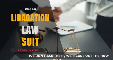 Understanding Lidagation Lawsuits: Definition, Process, and Legal Implications