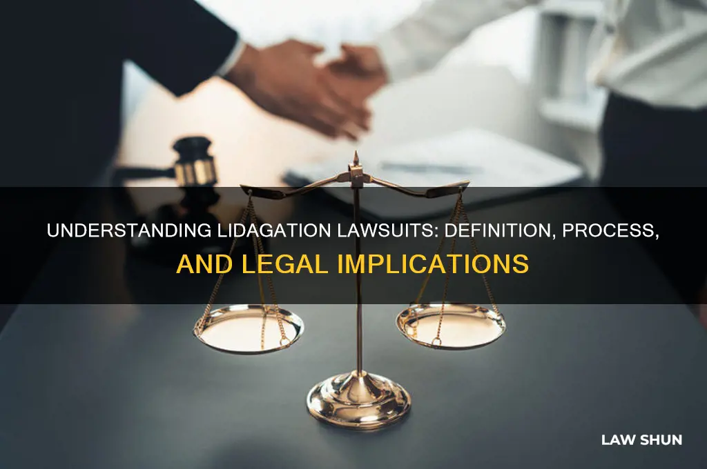 what is a lidagation law suit