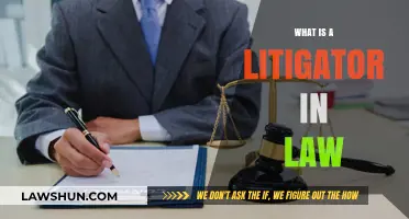 Understanding Litigation: The Role of a Litigator in Law
