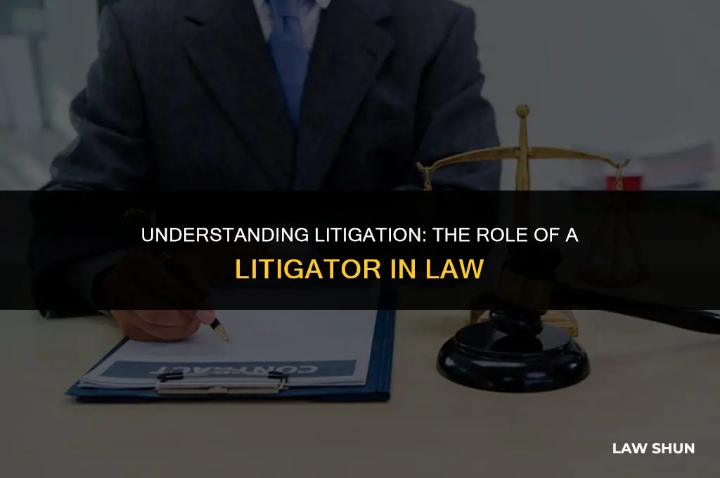 what is a litigator in law