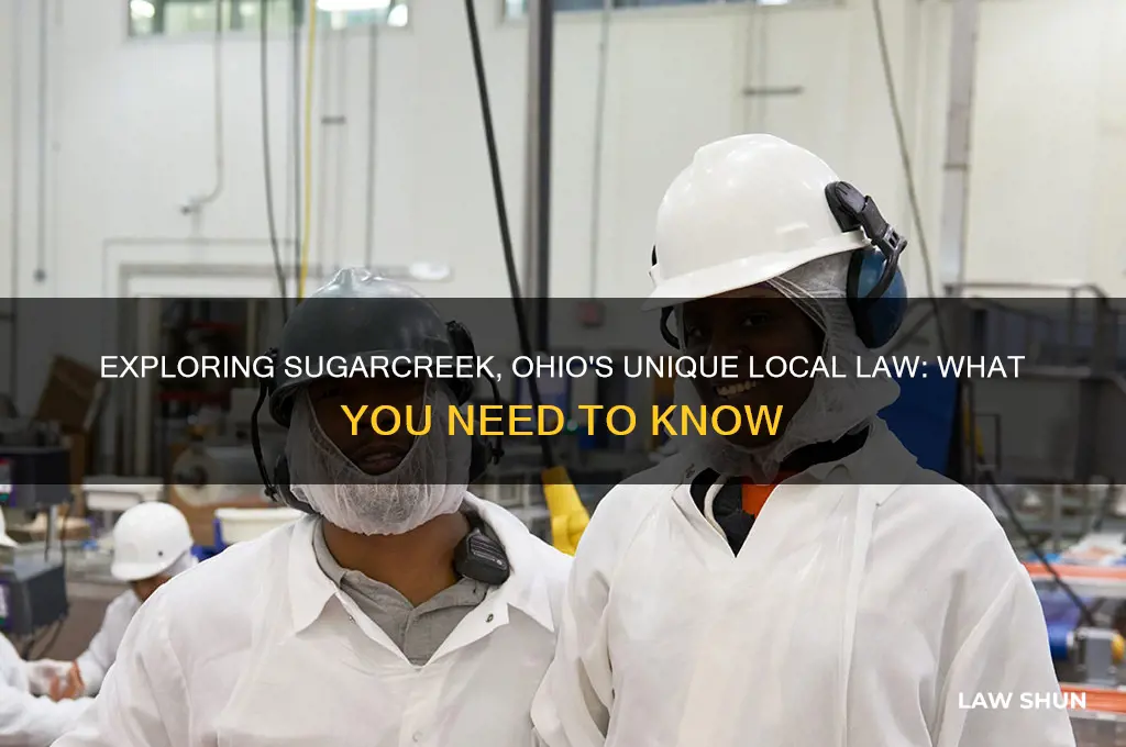 what is a local law that sugarcreek ohio has