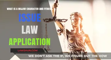 Understanding Character and Fitness Issues in Law School Applications