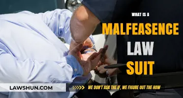Understanding Malfeasance Lawsuits: Legal Actions for Official Misconduct Explained