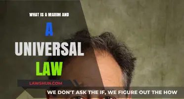 Maxims: Universal Laws and Their Impact