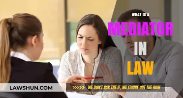Understanding the Role of a Mediator in Legal Disputes