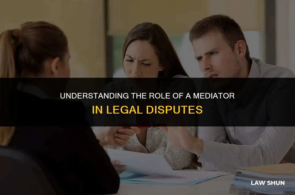 what is a mediator in law