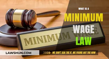 Understanding Minimum Wage Laws: A Comprehensive Guide