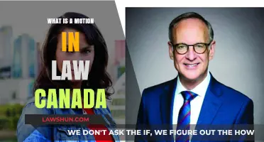 Understanding Legal Motions: Canadian Law Basics