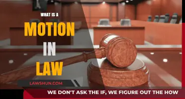 Understanding Legal Motions: A Comprehensive Guide for Beginners