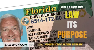 Understanding Motor Voter Law: Purpose, Impact, and Importance Explained