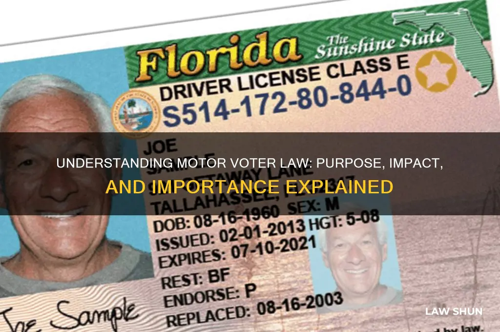 what is a motor voter law its purpose