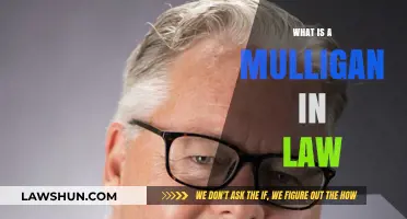 Understanding Mulligans in Law: A Beginner's Guide