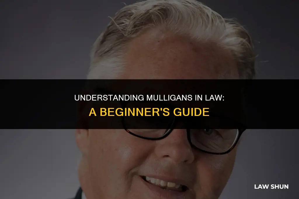 what is a mulligan in law