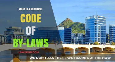 Understanding Municipal Code of By-Laws: A Comprehensive Guide