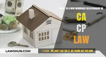 Understanding Non-Marital Relationships Under California Community Property Law