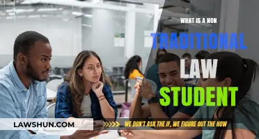 Breaking the Mold: Understanding the Non-Traditional Law Student Journey