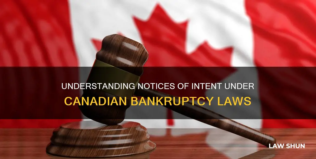 what is a notice of intent under canada bankrupty laws