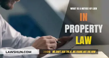 Understanding Notice of Lien: Key Concepts in Property Law Explained