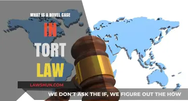 Unprecedented Tort Law Cases: What Makes Them Unique?