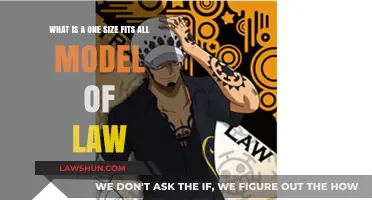 One Size Fits All Law: Myth or Practical Legal Model?