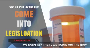 The Unenacted Opioid Law: A Missed Opportunity in Legislation
