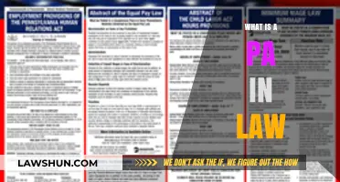 Understanding the Role of a PA in Law: A Comprehensive Guide