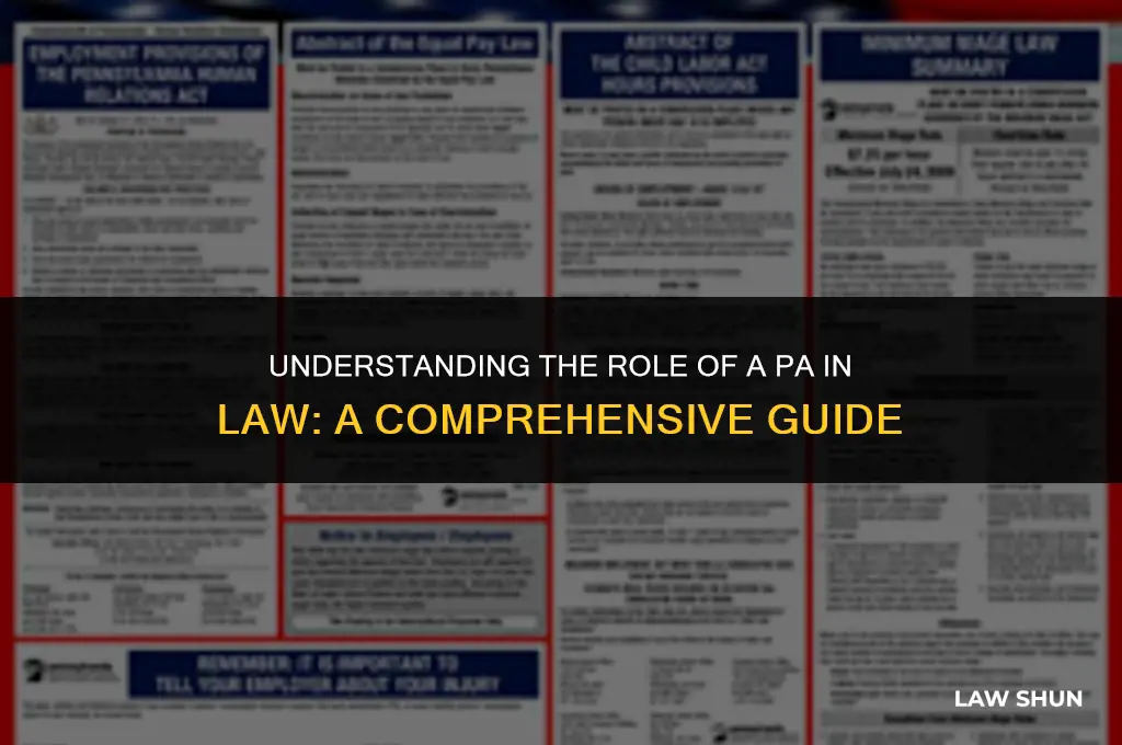 what is a pa in law