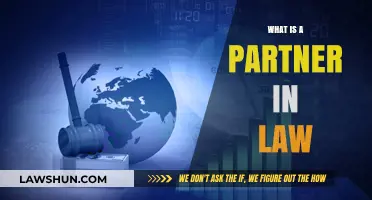 Understanding Partnership in Law: A Comprehensive Guide