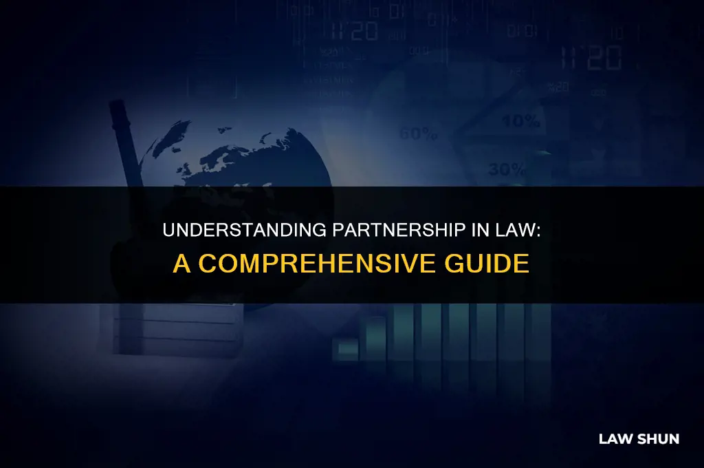 what is a partner in law