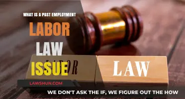 Understanding Past Employment Labor Law Issues: Key Concerns and Solutions