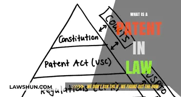 Understanding Patents: A Comprehensive Guide to Intellectual Property Rights
