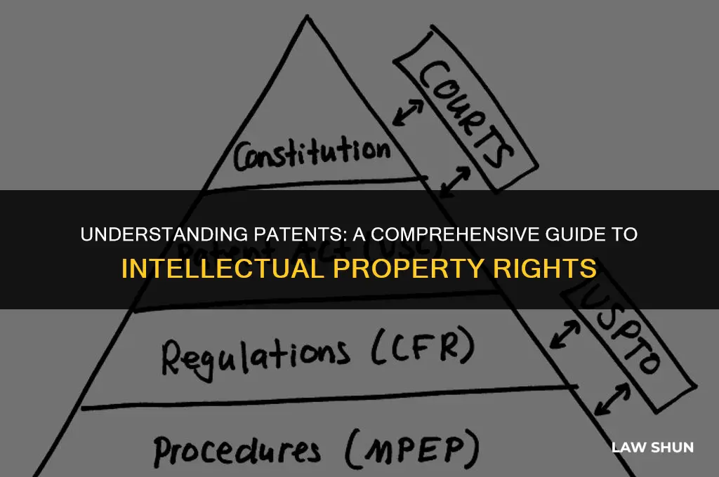 what is a patent in law